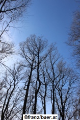 &copy; franzibaer.at