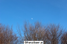 &copy; franzibaer.at